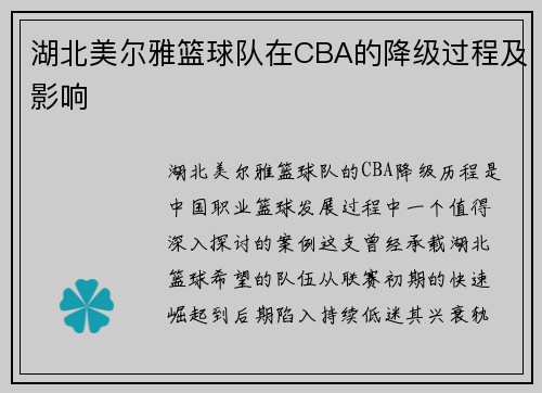 湖北美尔雅篮球队在CBA的降级过程及影响