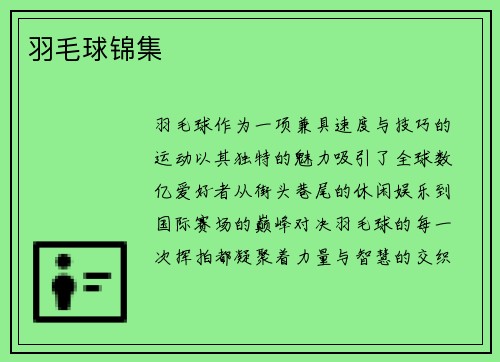 羽毛球锦集
